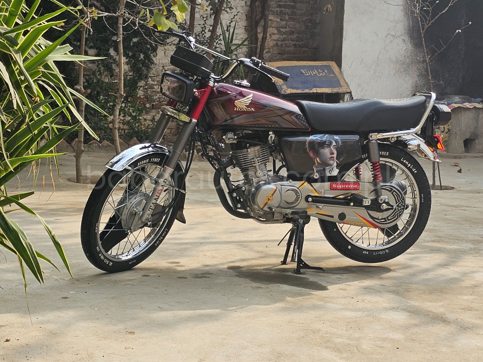 Cg 125 bike 25 model