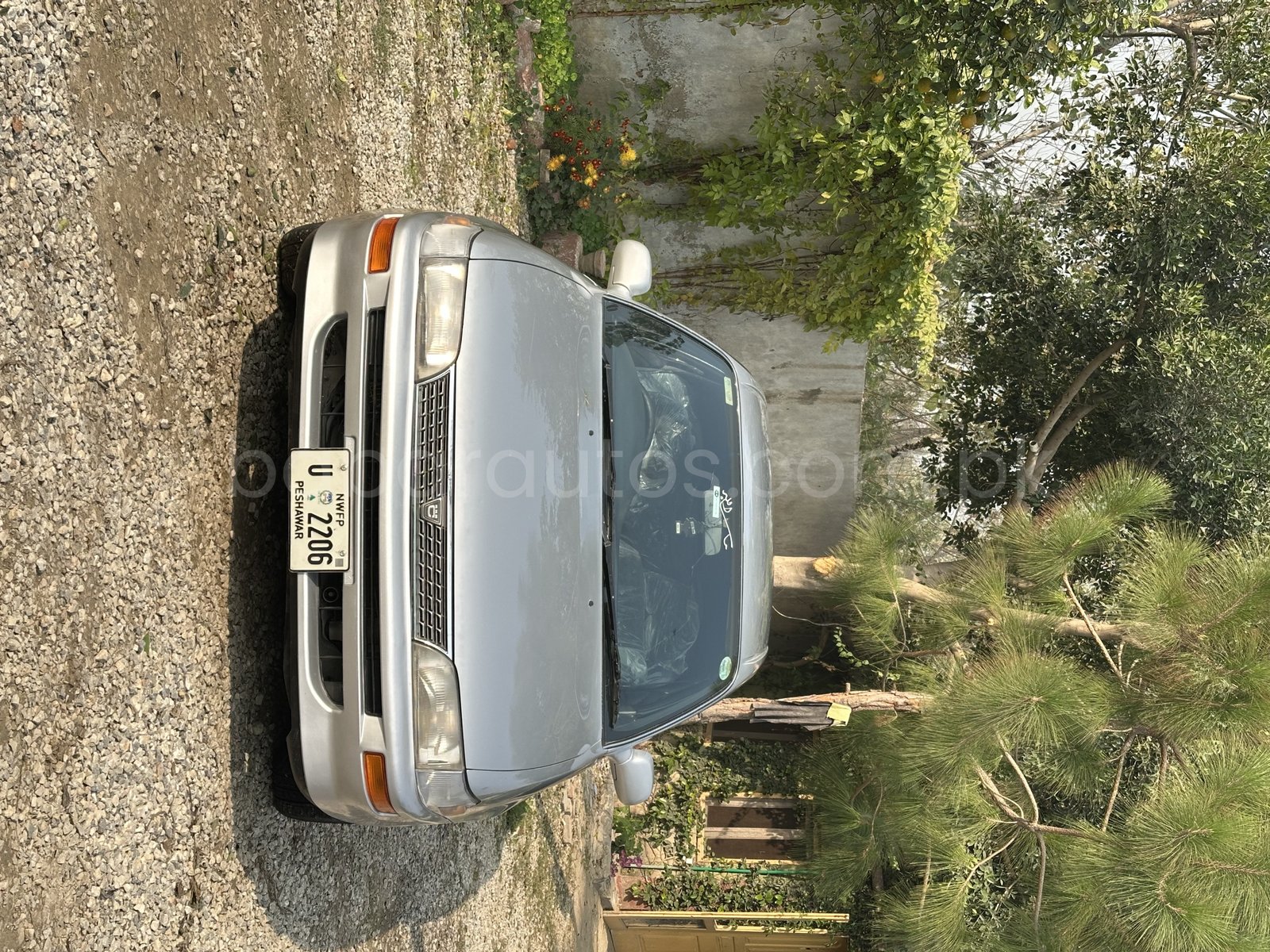 Toyota Corolla SE Limited