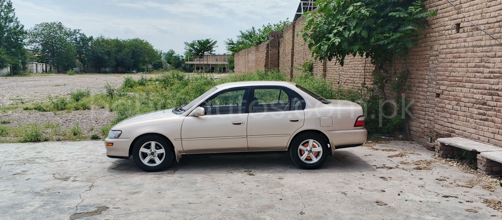 Car Thumbnail