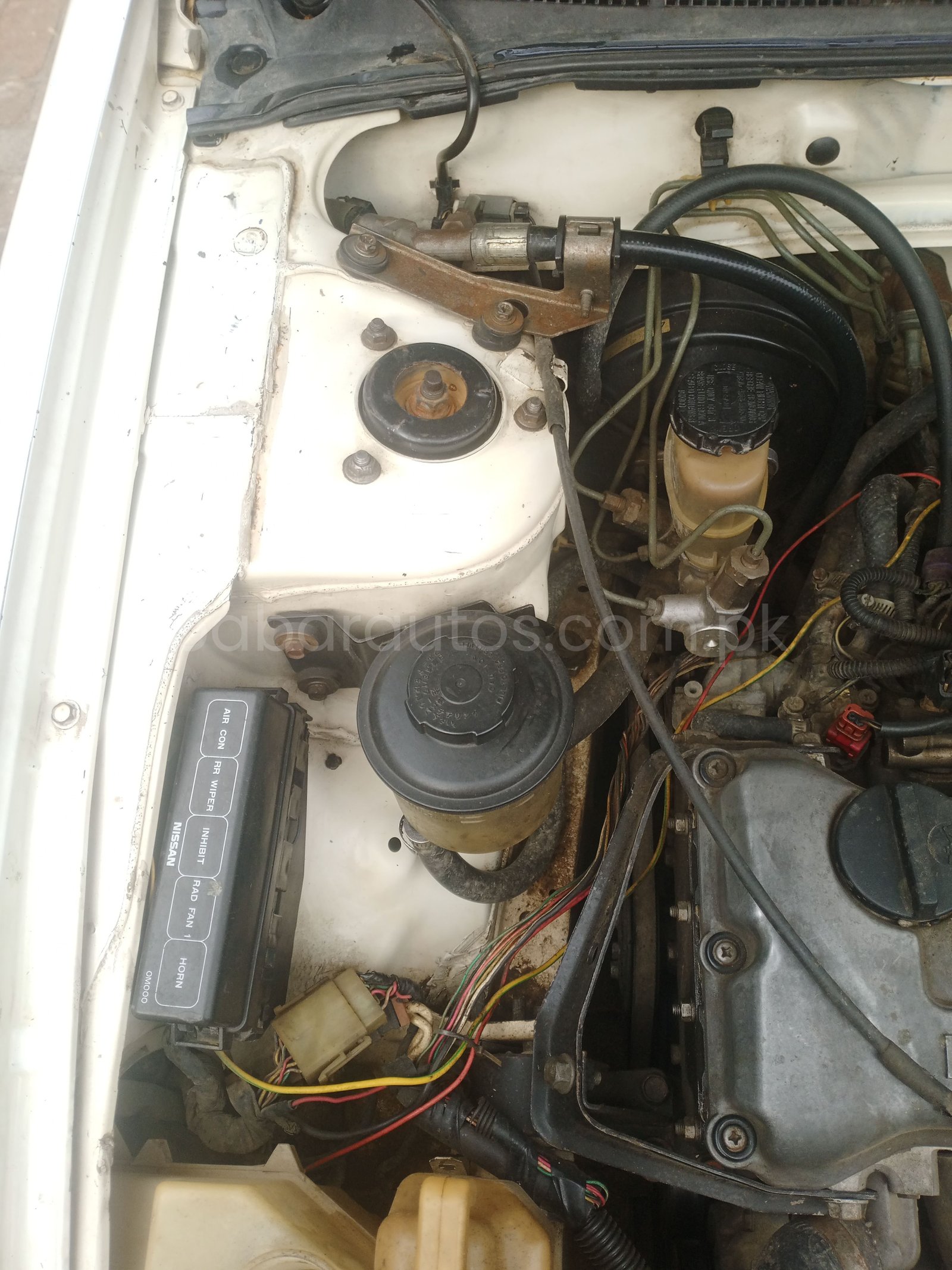 Nissan sunny