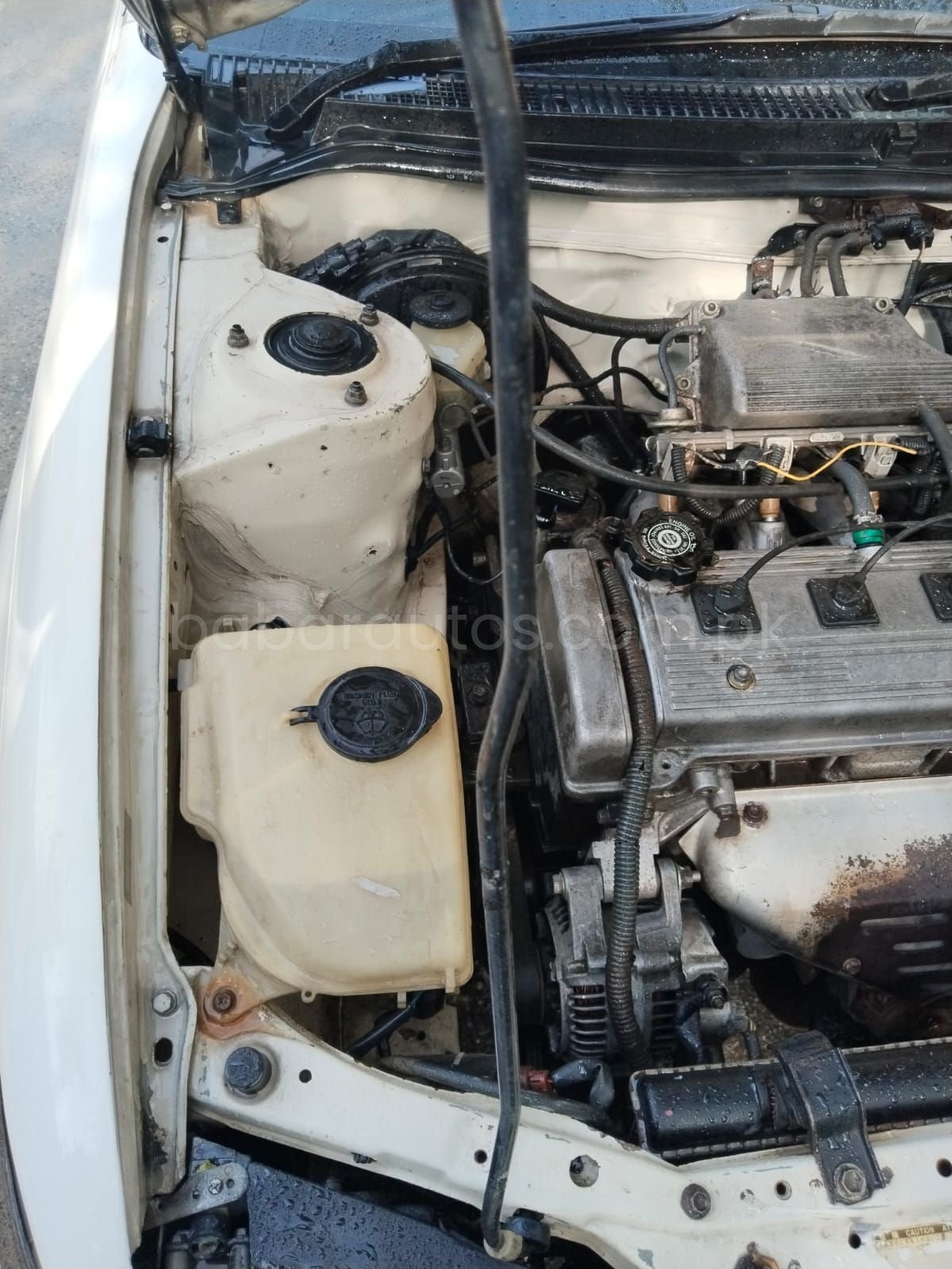 Car Thumbnail