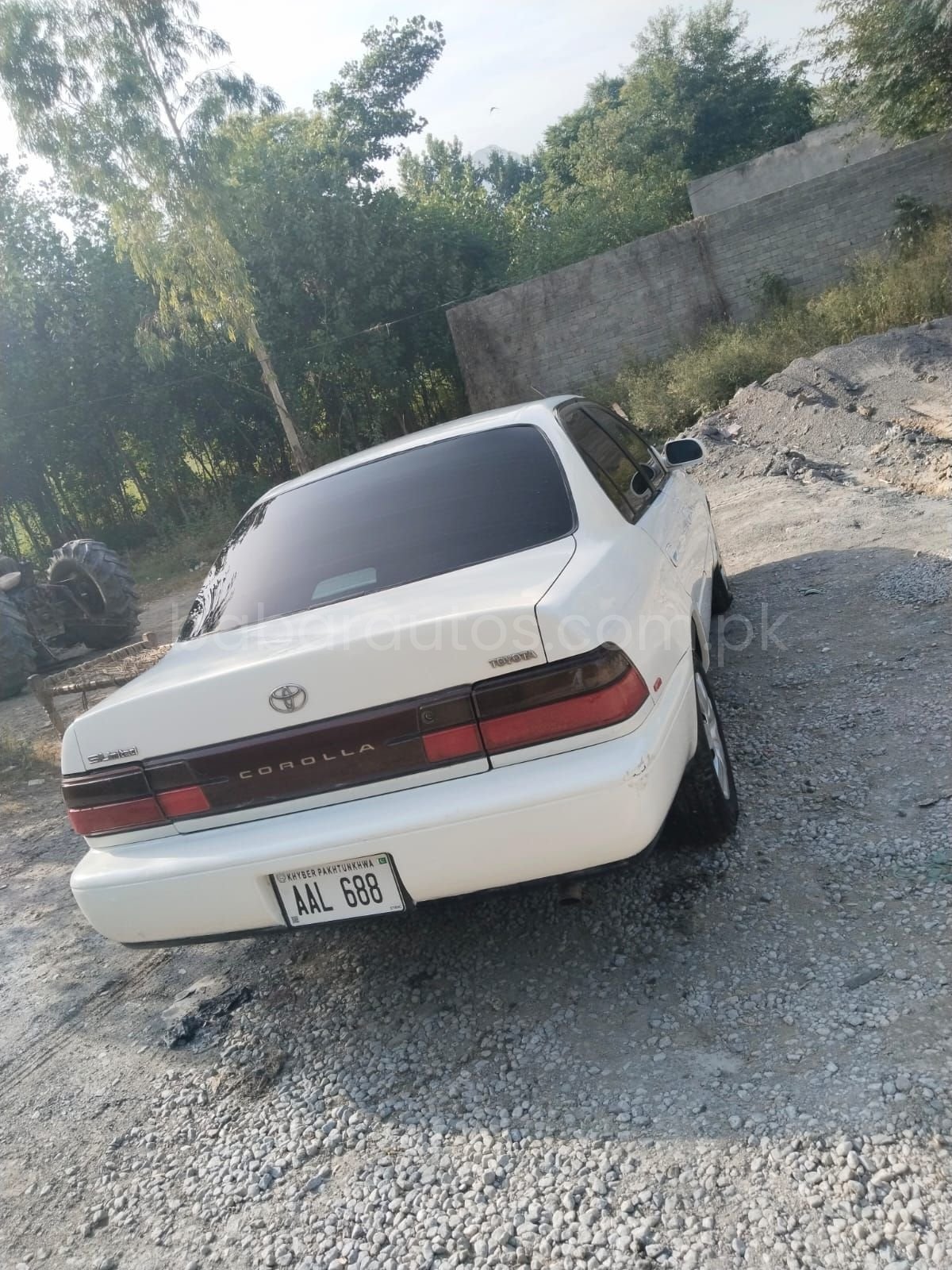Canadian Corolla