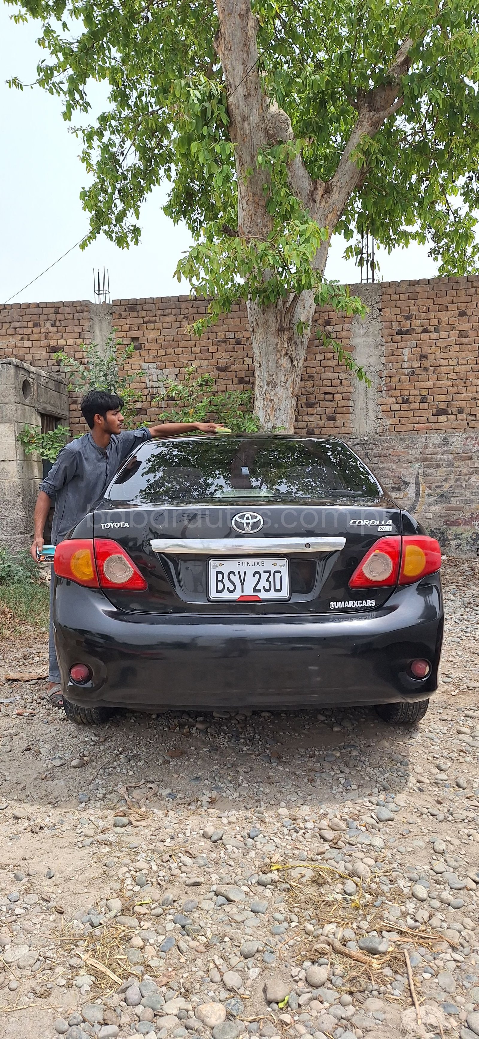 Toyota Corolla XLI