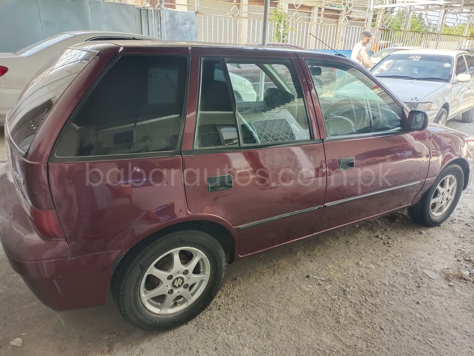 Suzuki cultus