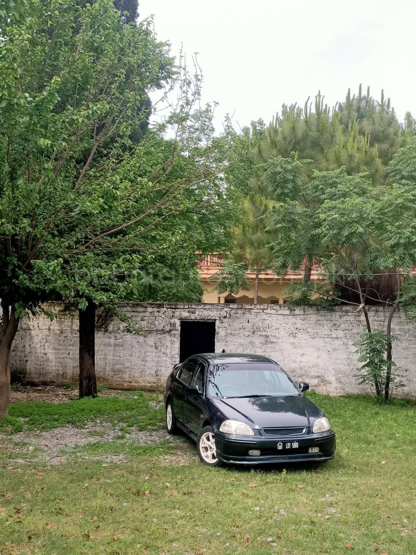 Car Thumbnail